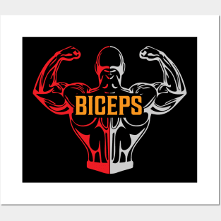 Biceps Muscles Posters and Art